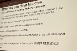 19. TAVAK VILÁGKONFERENCIÁJA