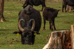 279222895_5270259059693118_1838504130031887594_n