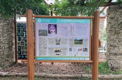 4_levendulahaz_VR_1920