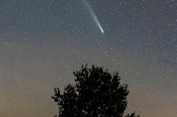 A 2024 októbere folyamán feltűnt C/2023 A3 (Tsuchinshan-ATLAS) üstökös a Szépalma határában emelkedő tölgyfa felett. A ritkán látható kométát szabad szemmel is meg lehetett figyelni.