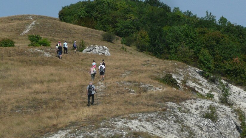 A Baglyas tetőszintjén