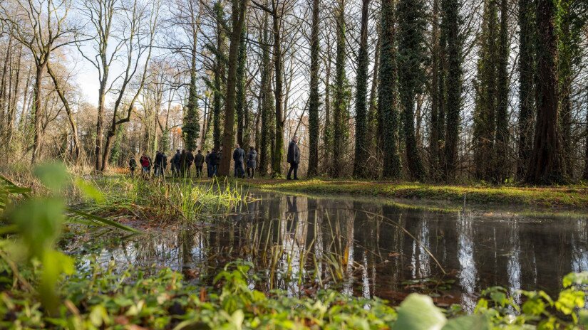 A Balaton-felvidéki Nemzeti Park Igazgatóság, konzorciumi partnerei és a helyben élők segítségével több mint 660 millió forint felhasználásával valósult meg a Hévízi-tó és környékének természetvédelmi célú rekonstrukciója.