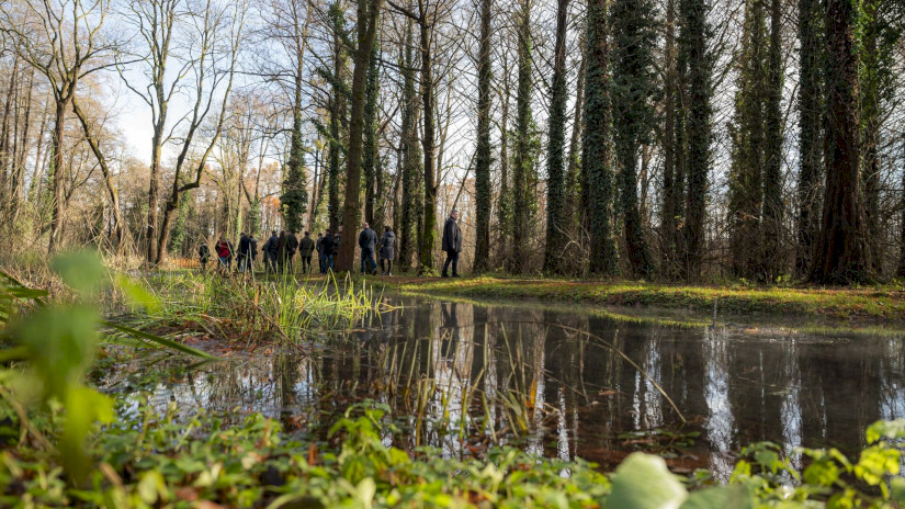 A Balaton-felvidéki Nemzeti Park Igazgatóság, konzorciumi partnerei és a helyben élők segítségével több mint 660 millió forint felhasználásával valósult meg a Hévízi-tó és környékének természetvédelmi célú rekonstrukciója.