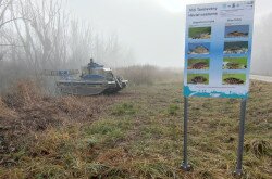 A BfNPI kollégája munkában