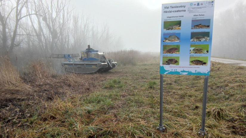 A BfNPI kollégája munkában
