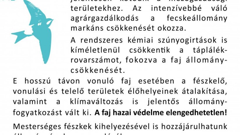 A fecskefészek-telepekhez kihelyezendő tájékoztató tábla