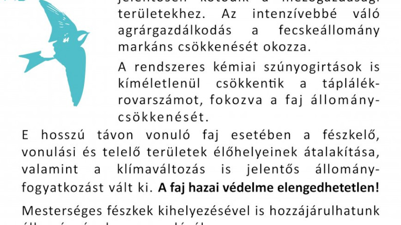A fecskefészek-telepekhez kihelyezendő tájékoztató tábla