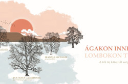 Ágakon innen, lombokon túl - címkép