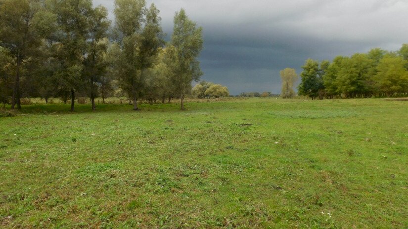 A gyepek kiemelkedő jelentőségűek a természeti értékek megőrzésében.