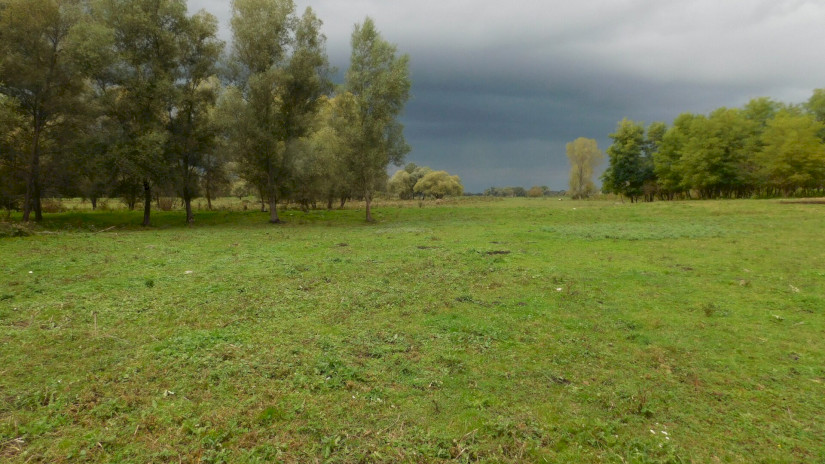A gyepek kiemelkedő jelentőségűek a természeti értékek megőrzésében.
