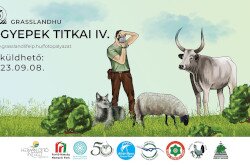 A gyepek titkai IV. fotópályázat