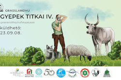 A gyepek titkai IV. fotópályázat