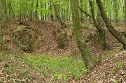 Ajka Szappan-völgyi kőfejtő alapszelvény