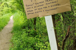 A kölykök védelme érdekében valaki kihelyett egy táblát.