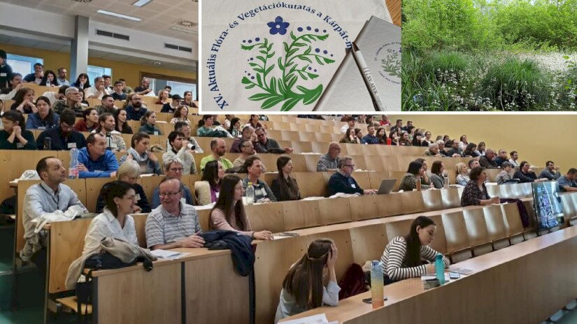 A konferencia résztvevői