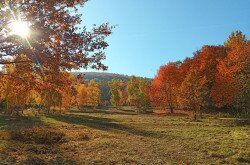 A kormány kiemelten támogatja a nemzeti park igazgatóságokat