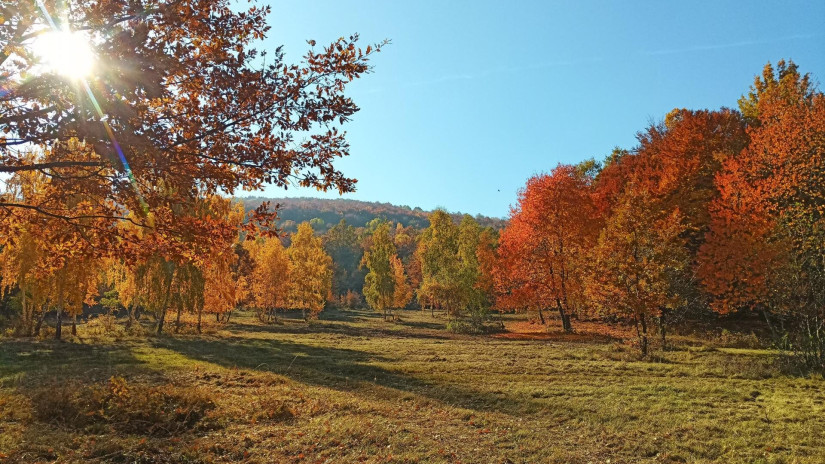 A kormány kiemelten támogatja a nemzeti park igazgatóságokat