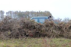 A levágott, összegyűjtött növényzet egy része
