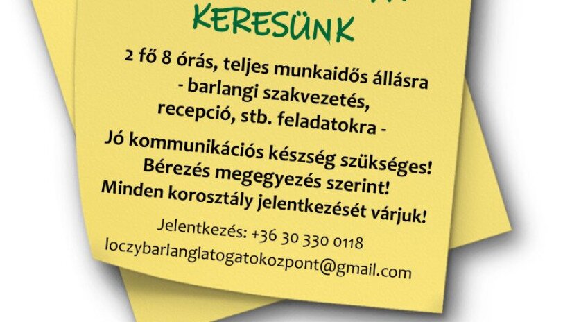 Álláshirdetés 2023. márciustól