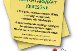 Álláshirdetés 2023. márciustól