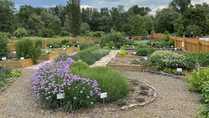 A megújult fűszer- és gyógynövénykert