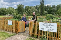 A megújult fűszer- és gyógynövénykert (Kaszián Ágota és Barcza Gábor majorgazda)