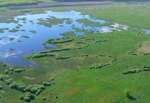 Führungen am Kis-Balaton