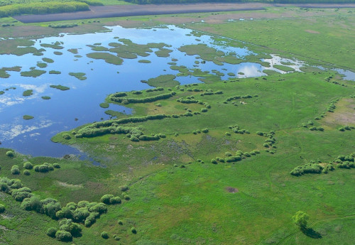 Führungen am Kis-Balaton