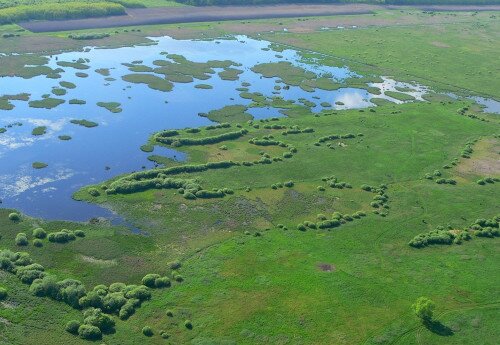 Führungen am Kis-Balaton