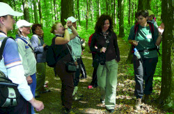 A snapshot during a guided tour