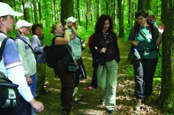 A snapshot during a guided tour