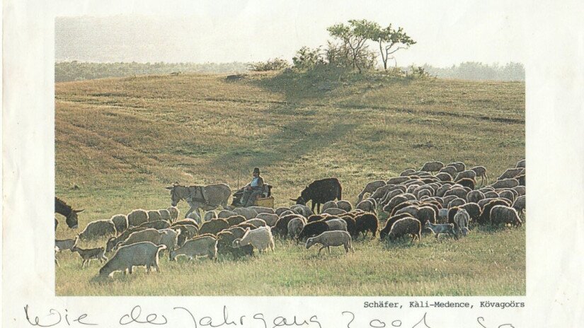 A szamaras fogat lehetővé tette, hogy ne kelljen szeretett szakmájával felhagynia.