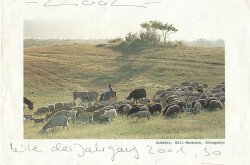 A szamaras fogat lehetővé tette, hogy ne kelljen szeretett szakmájával felhagynia.