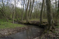 Aszófői-séd 