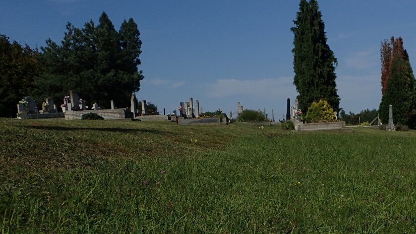 A temetők gyakran védett fajok élőhelye.
