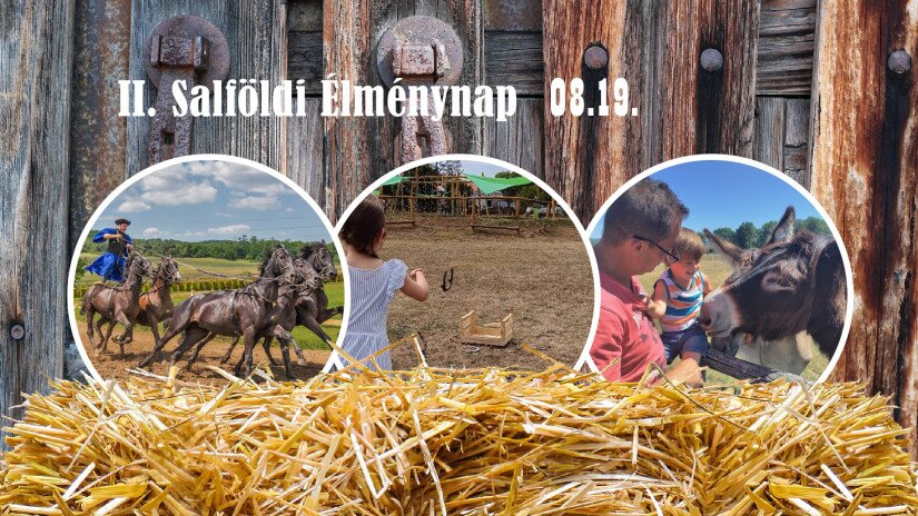 Augusztus 19-én II. Salföldi Élménynap!  Csikós bemutatók, kézműves foglalkozások, csacsi sétáltatás várja a vendégeket a Salföldi Majorban ezen a napon. 
