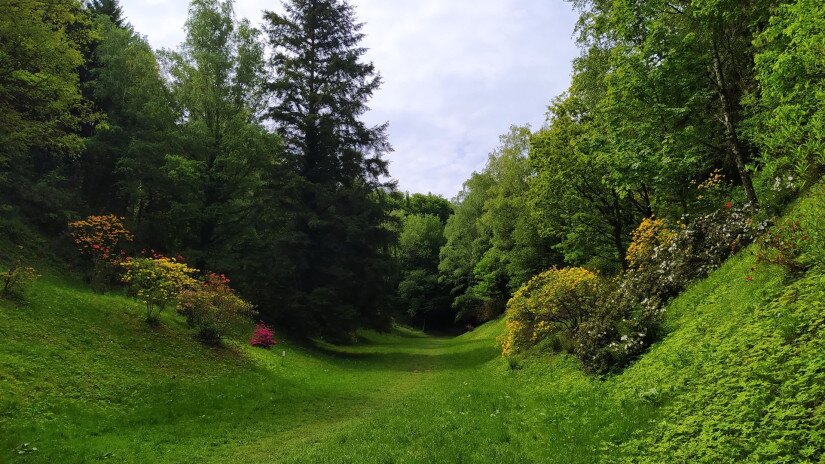 Azáleás-völgy, Zalaegerszeg