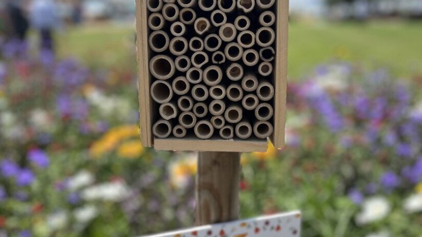 Az élőhelyvédelmi szempontoknál a rovarhotel kihelyezés plusz pontokat ér