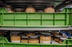 Az épületben helyet kapott 1 db átmeneti tároló, 3 db magszárító kamra, és két hűtőtároló is
