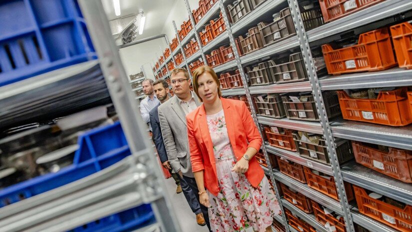 Az NBGK nem csak saját maggyűjteményét tárolja, hanem országos koordinációt lát el növényi génmegőrzés területén.