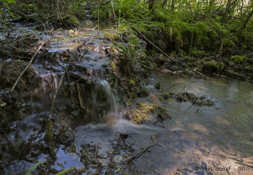 Balatonfüred-Wald, Naturschutzgebiet