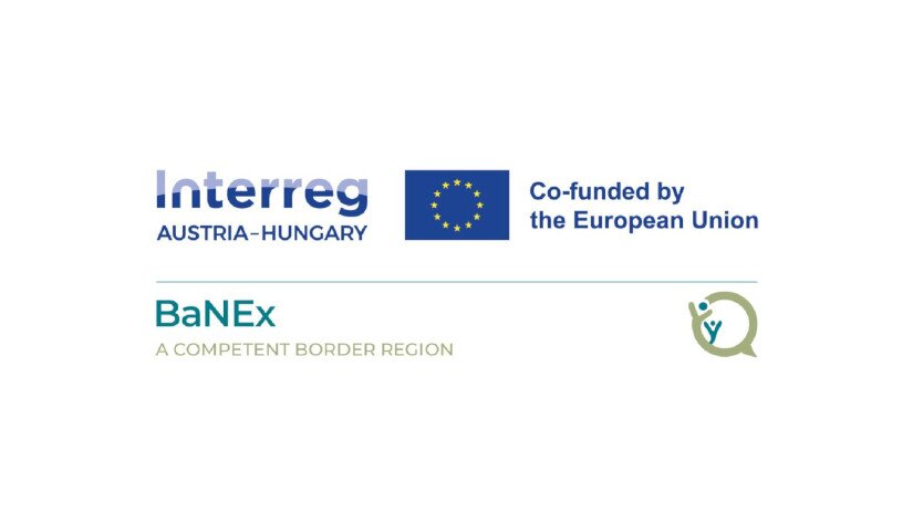 BaNEx - projektlogó