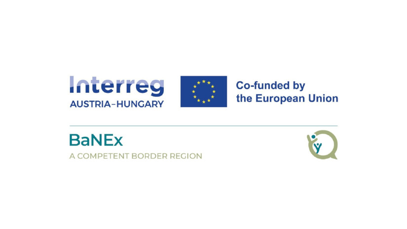 BaNEx - projektlogó