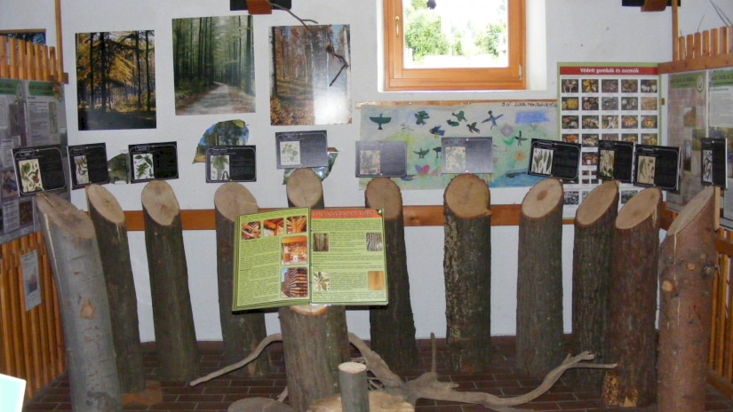 Baumarten in der Waldschule in Bakonybél