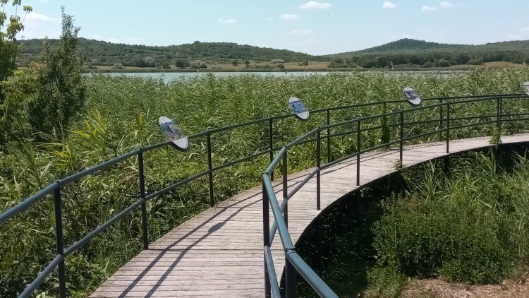 Magyar Nemzeti Parkok Hete alkalmából Levendula Ház Látogatóközpont kedvezményes látogatása 2025-05-19