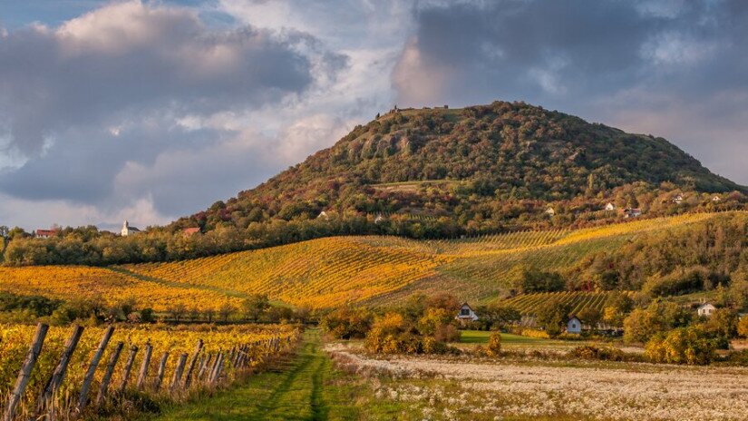 Bercsi Gábor – Őszi Csobánc (Balaton-felvidéki Nemzeti Park Igazgatóság különdíja)