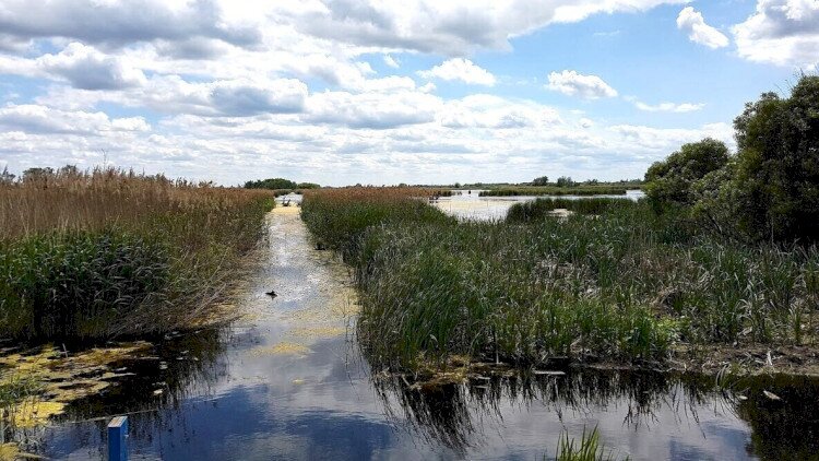 Föld Napja – Nyílt nap a Berek Világa Látogatóközpontban 2026-04-22