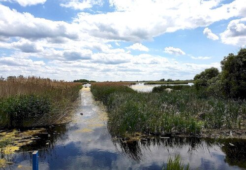 Föld Napja – Nyílt nap a Berek Világa Látogatóközpontban 2026-04-22