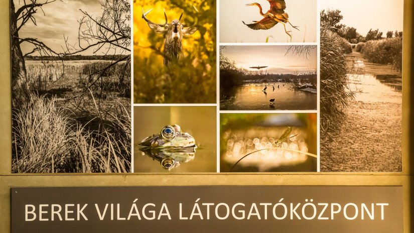 Berek Világa Látogatóközpont - Fonyód