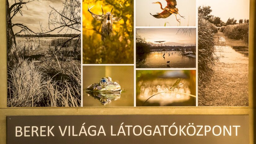 Berek Világa Látogatóközpont - Fonyód